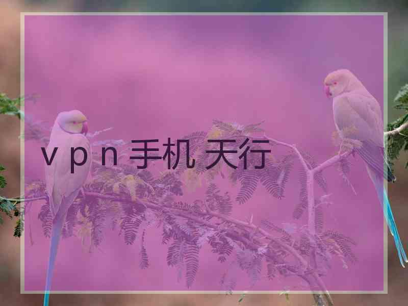 v p n 手机 天行