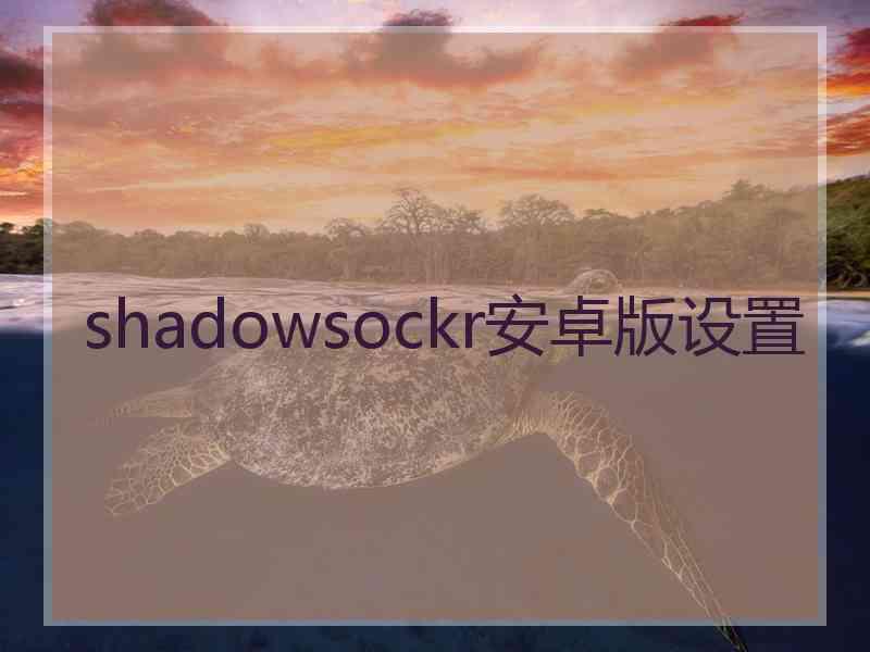 shadowsockr安卓版设置