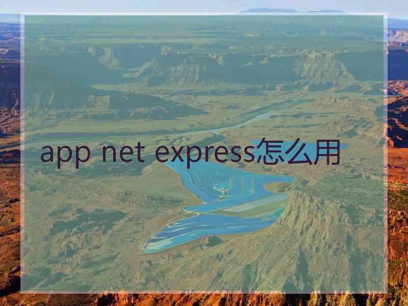 app net express怎么用