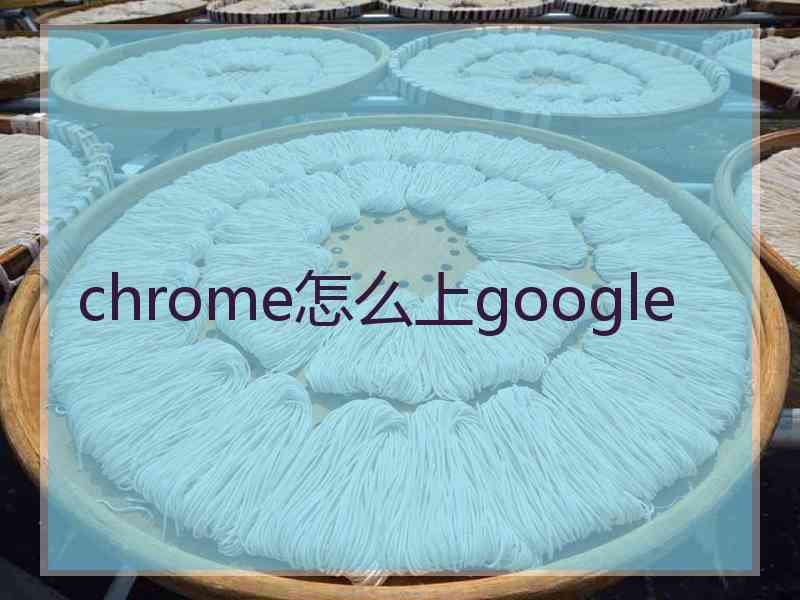 chrome怎么上google