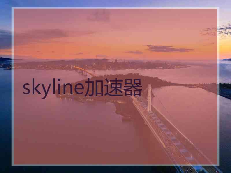 skyline加速器