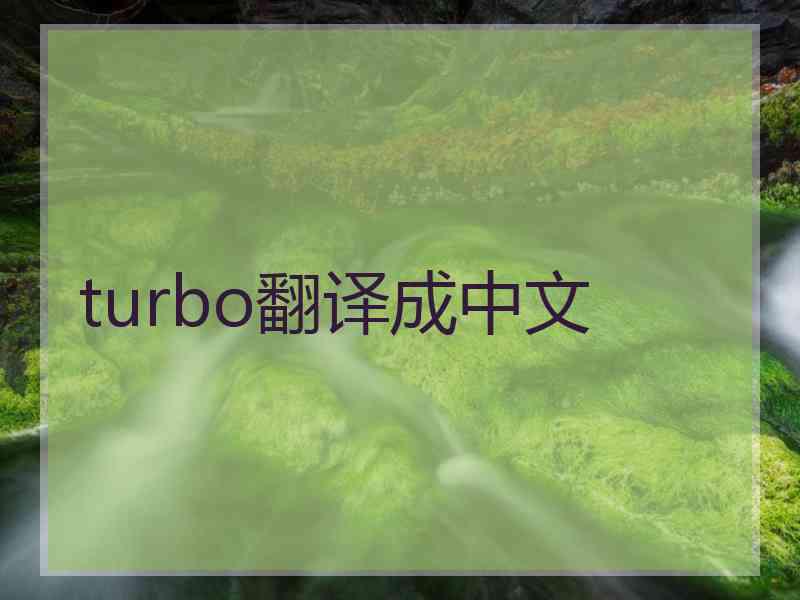 turbo翻译成中文