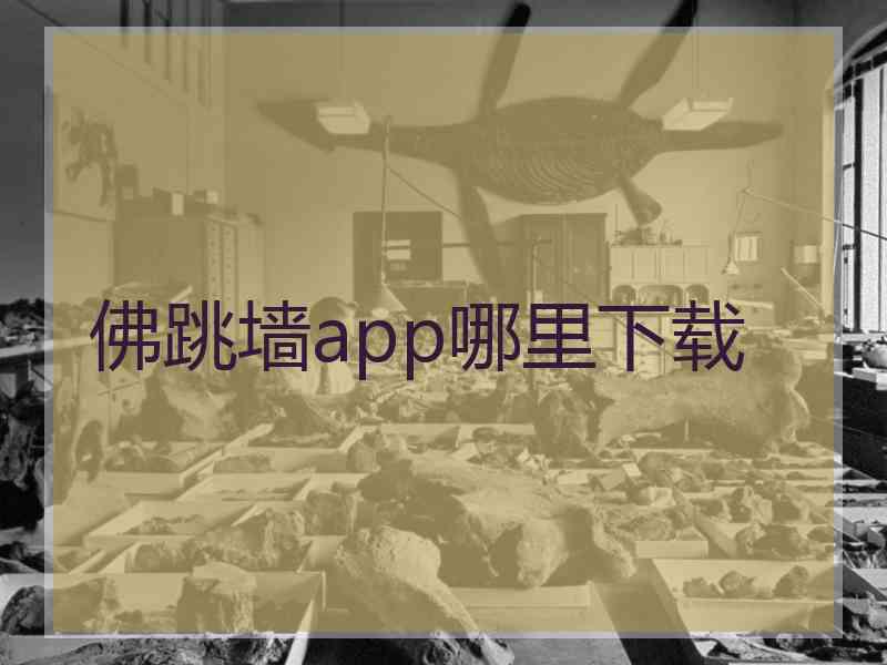 佛跳墙app哪里下载