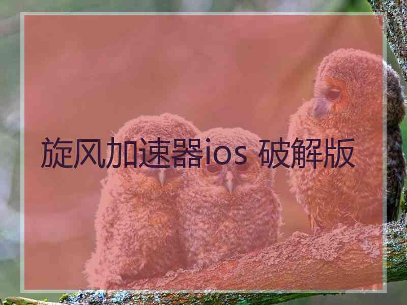 旋风加速器ios 破解版