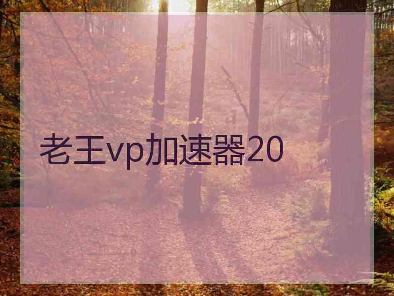 老王vp加速器20