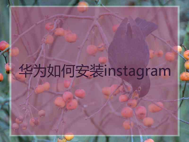 华为如何安装instagram