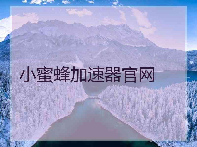 小蜜蜂加速器官网