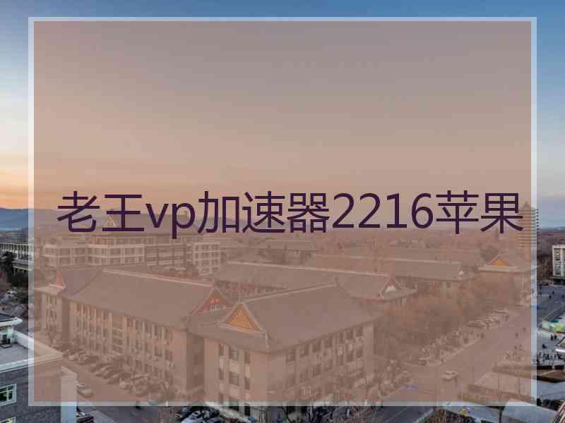 老王vp加速器2216苹果