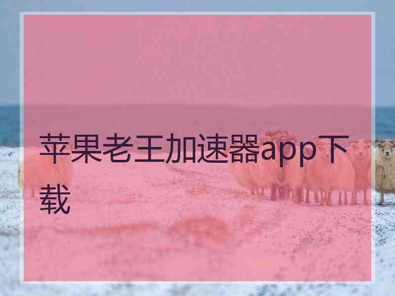 苹果老王加速器app下载