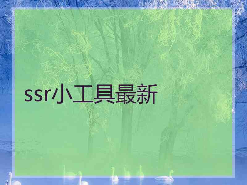 ssr小工具最新