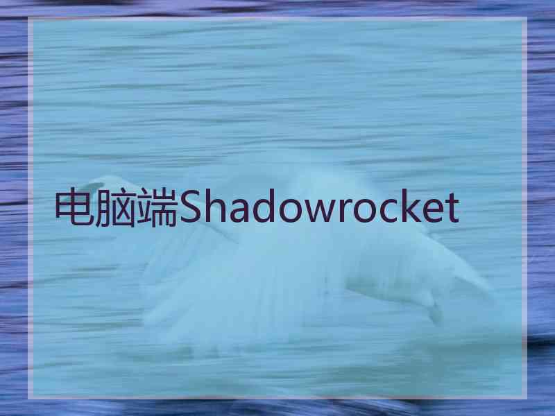 电脑端Shadowrocket