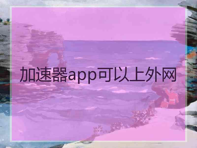 加速器app可以上外网