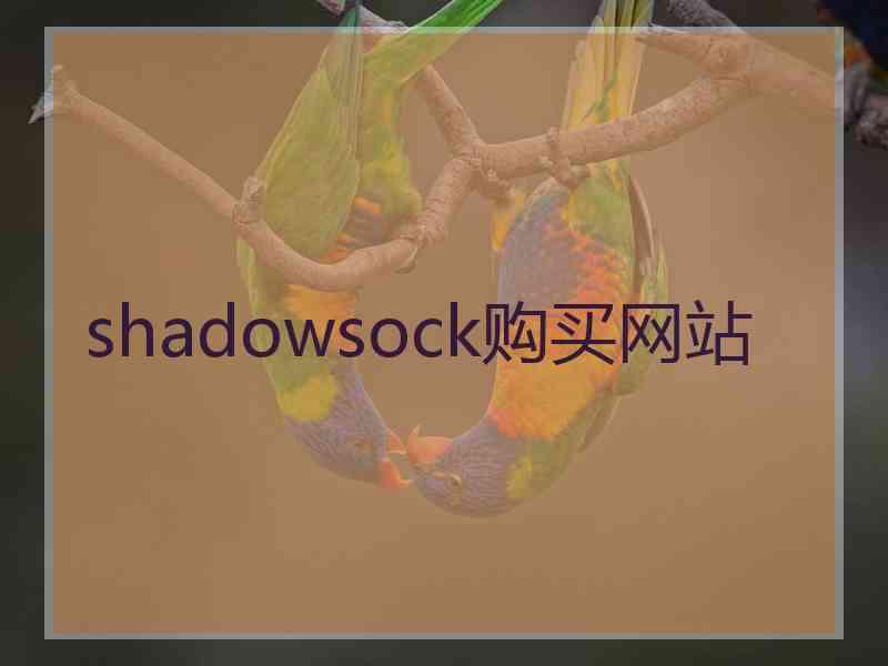 shadowsock购买网站