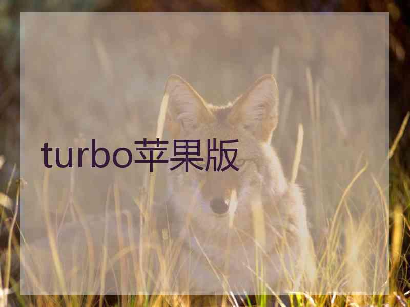 turbo苹果版