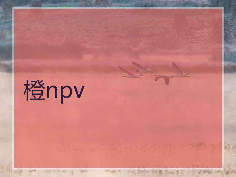 橙npv