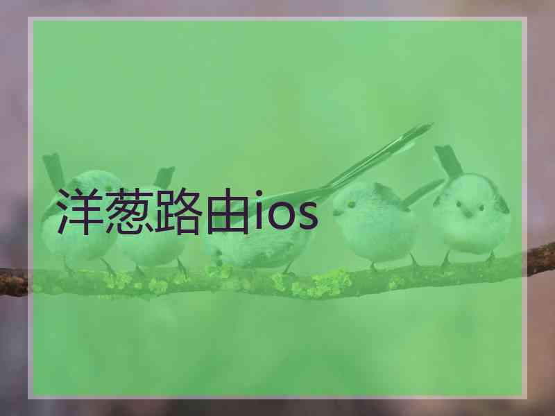 洋葱路由ios