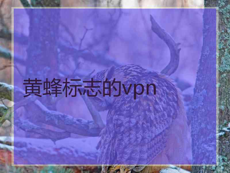 黄蜂标志的vpn