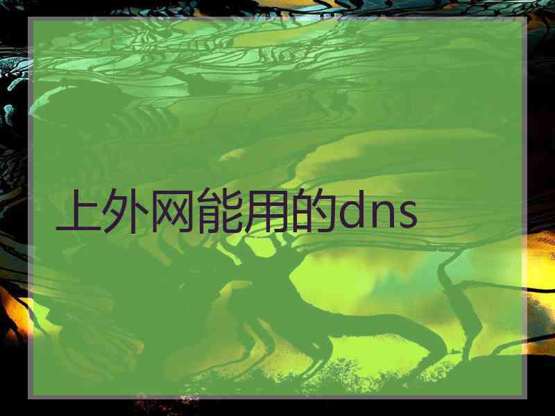 上外网能用的dns