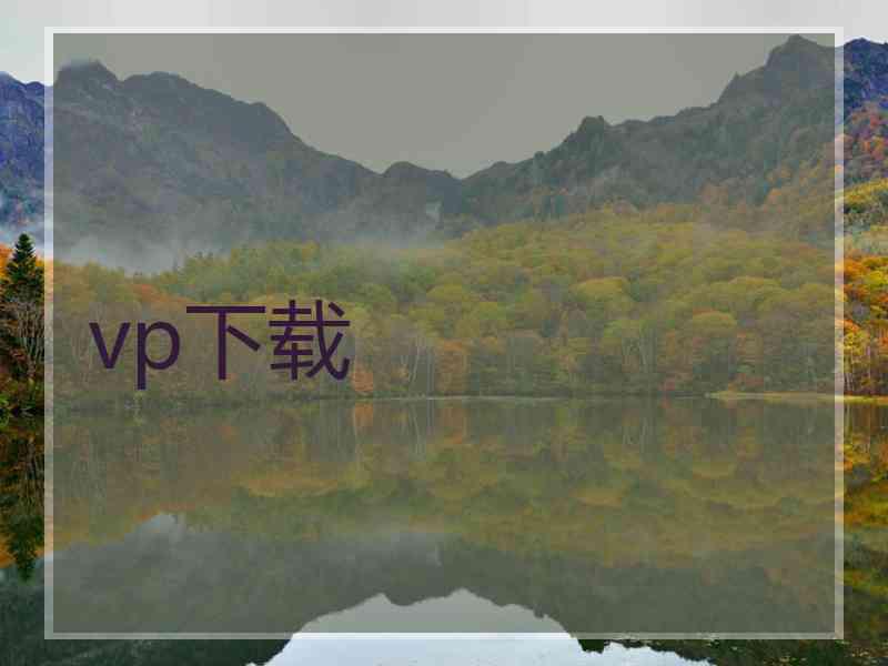 vp下载