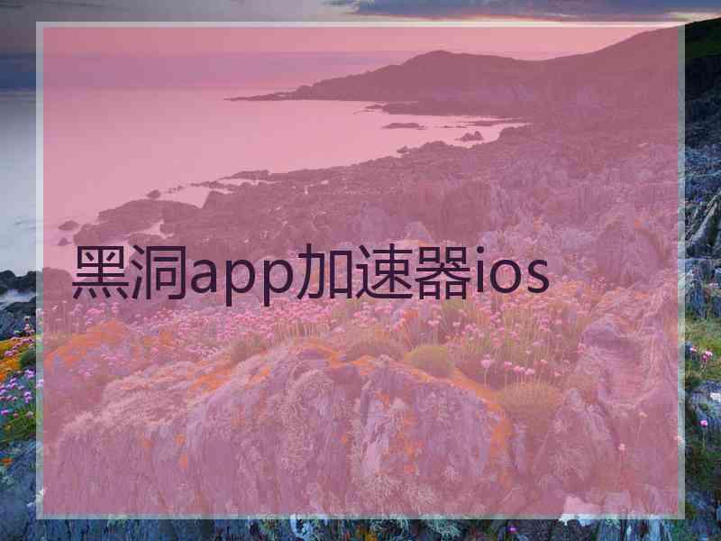 黑洞app加速器ios