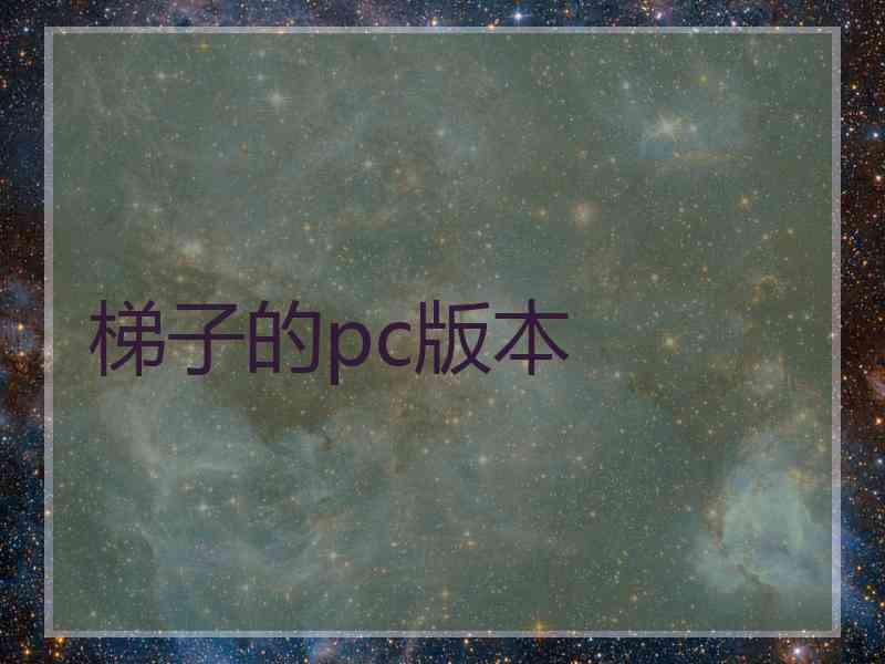 梯子的pc版本