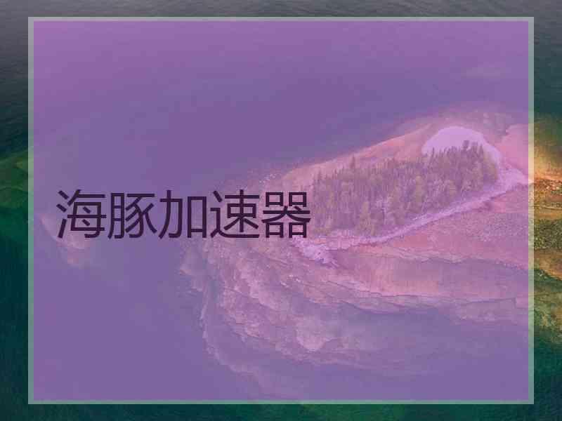 海豚加速器