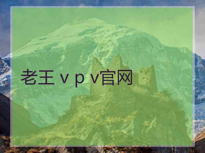 老王 v p v官网