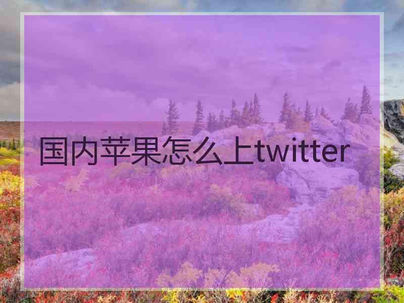 国内苹果怎么上twitter