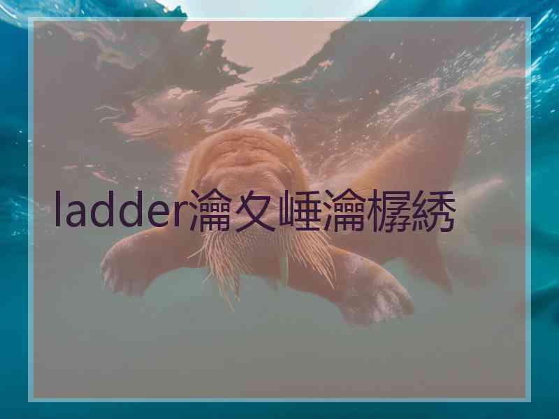 ladder瀹夊崜瀹樼綉