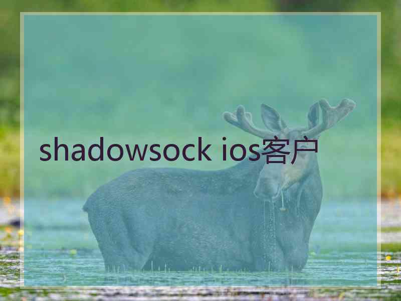 shadowsock ios客户