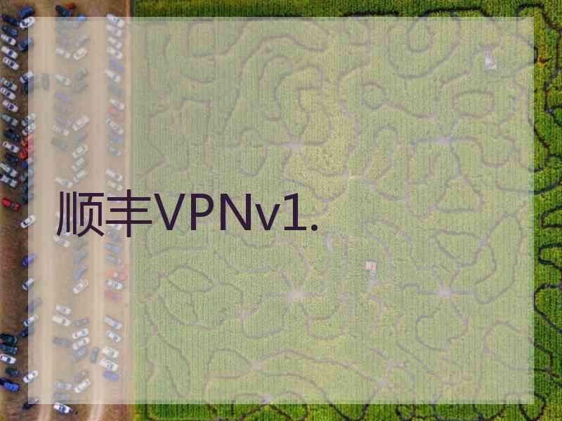 顺丰VPNv1.