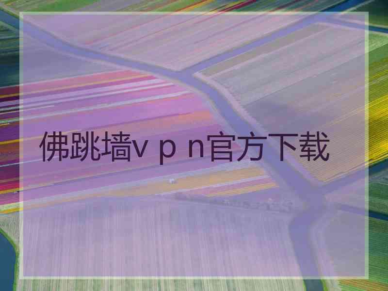 佛跳墙v p n官方下载