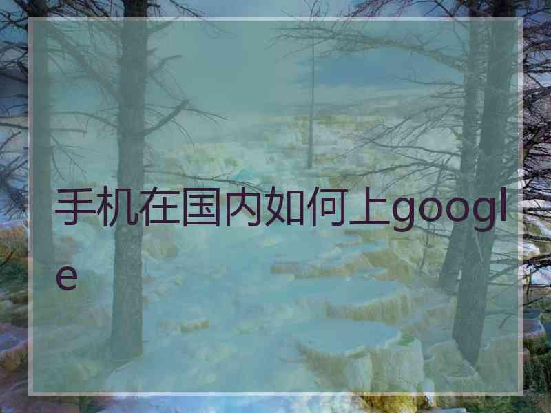 手机在国内如何上google