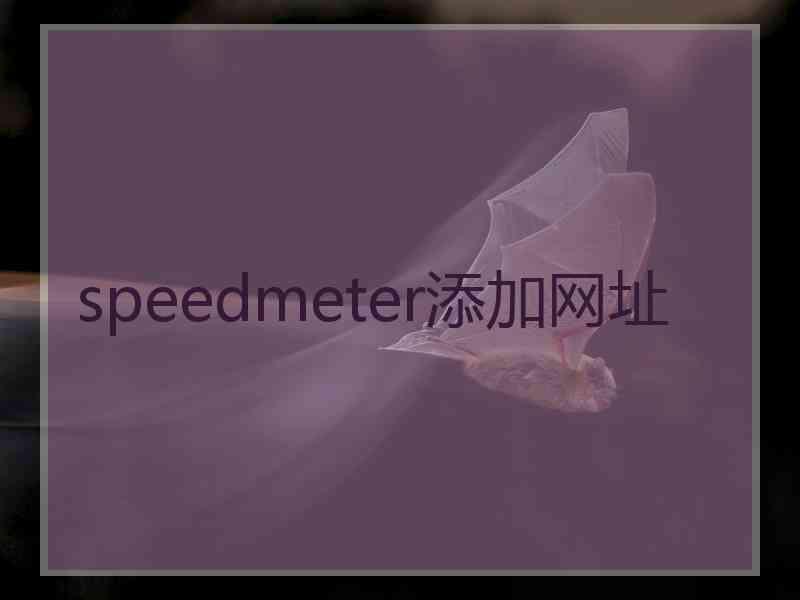 speedmeter添加网址