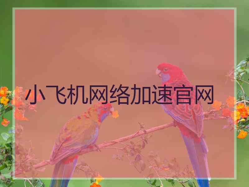 小飞机网络加速官网