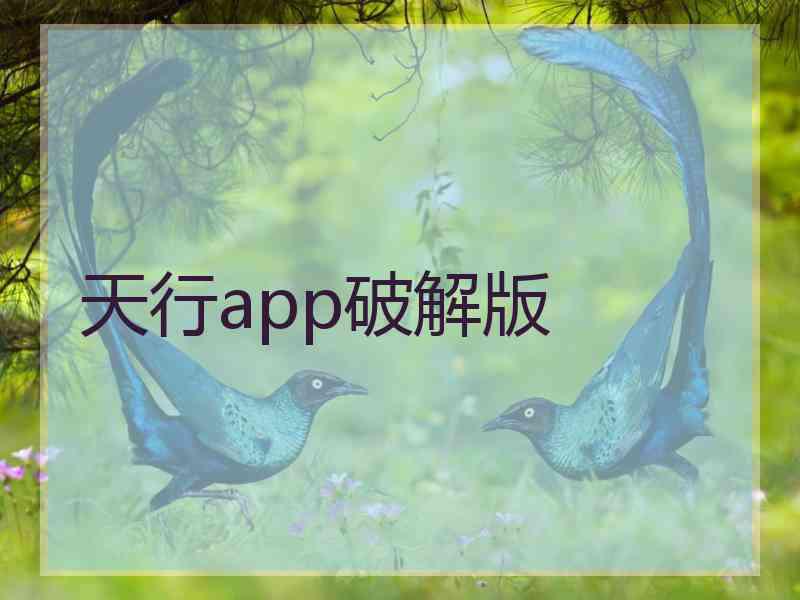 天行app破解版