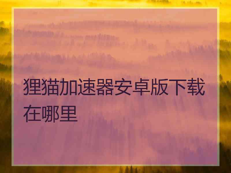 狸猫加速器安卓版下载在哪里