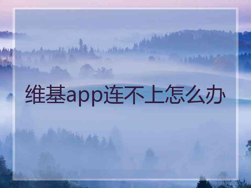 维基app连不上怎么办