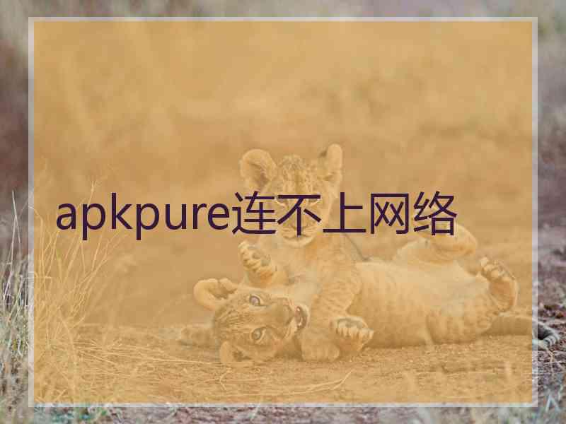 apkpure连不上网络