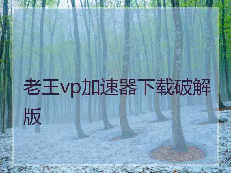 老王vp加速器下载破解版