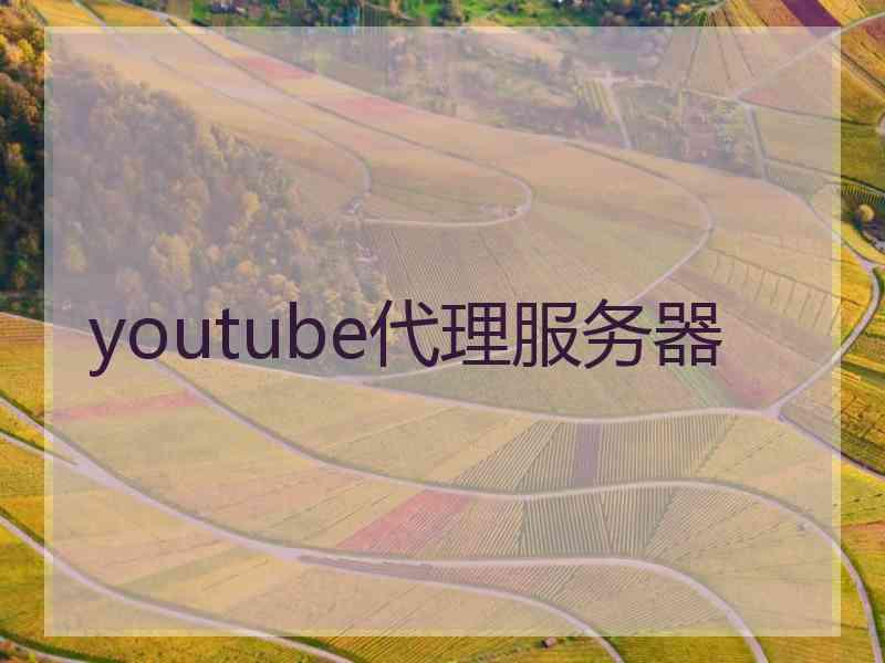 youtube代理服务器