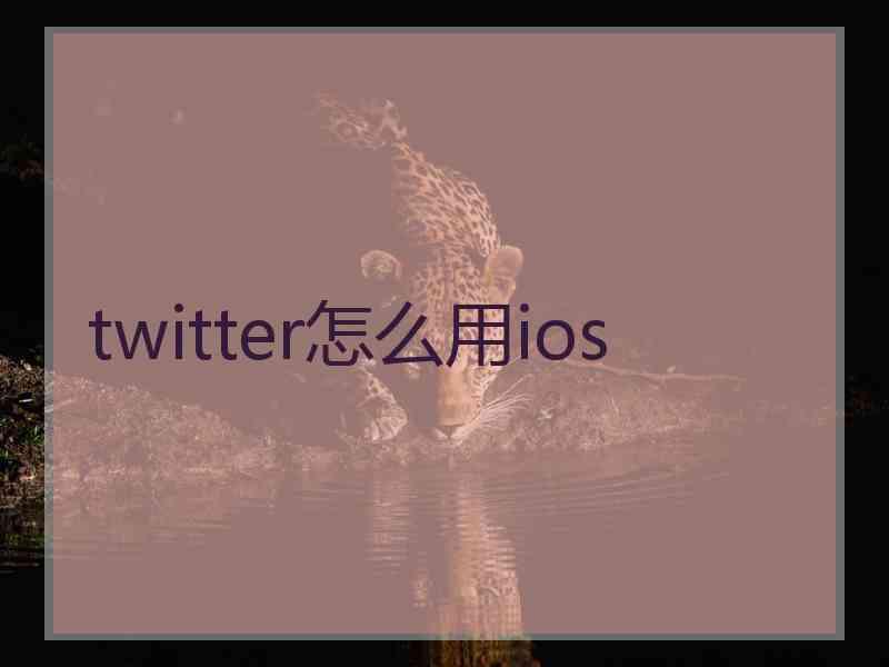 twitter怎么用ios