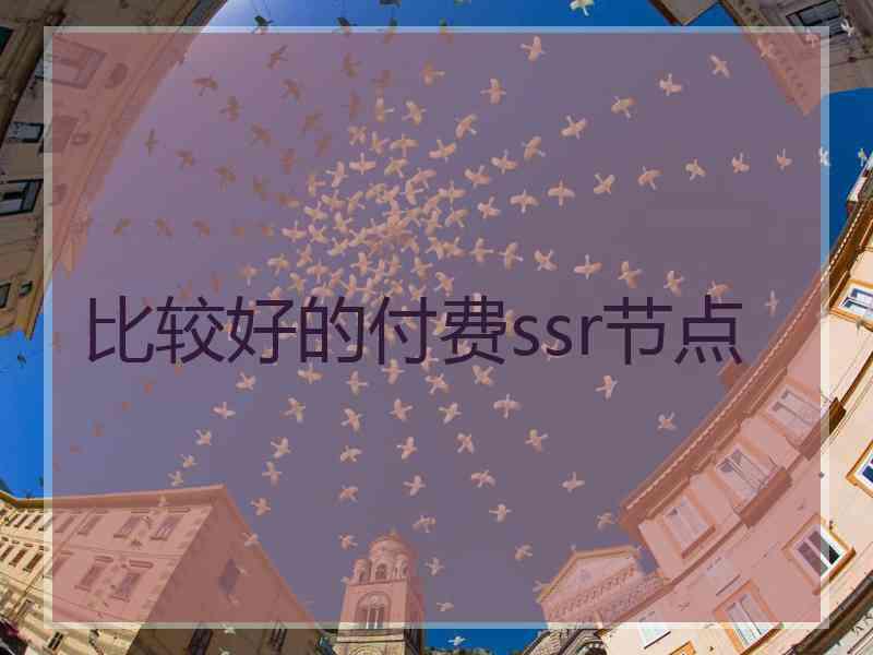 比较好的付费ssr节点