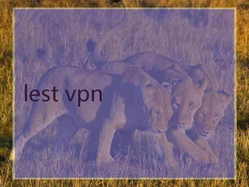 lest vpn