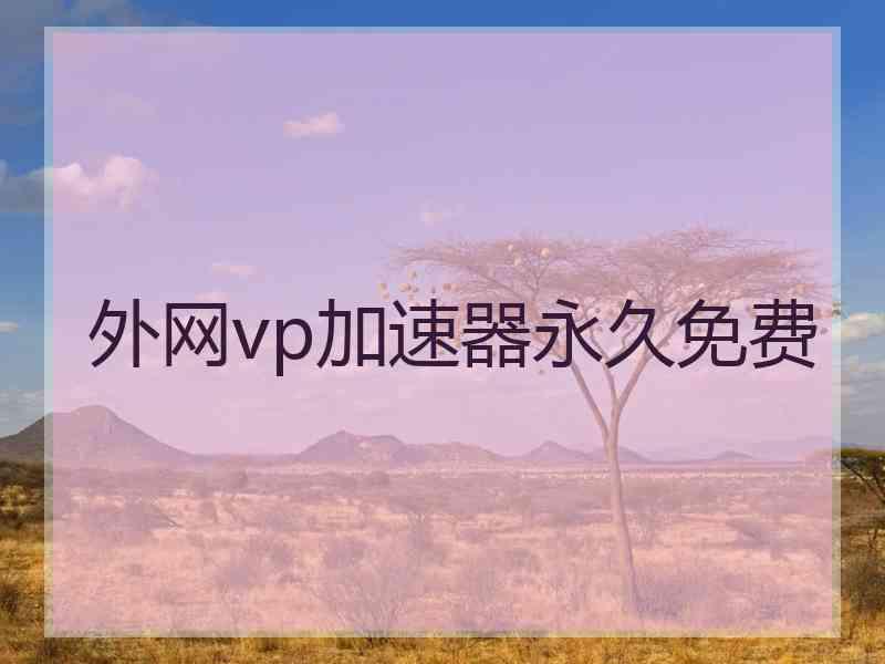 外网vp加速器永久免费