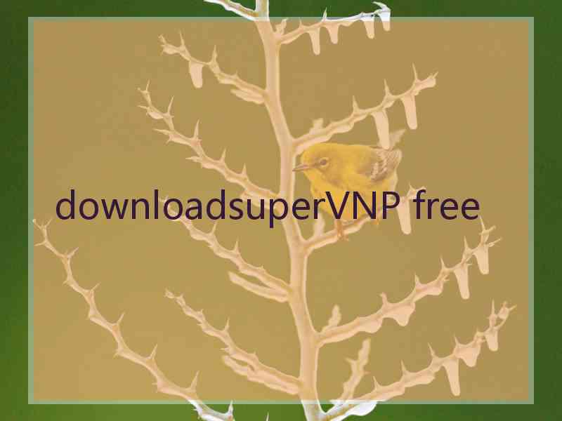 downloadsuperVNP free