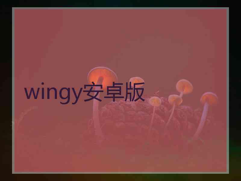 wingy安卓版