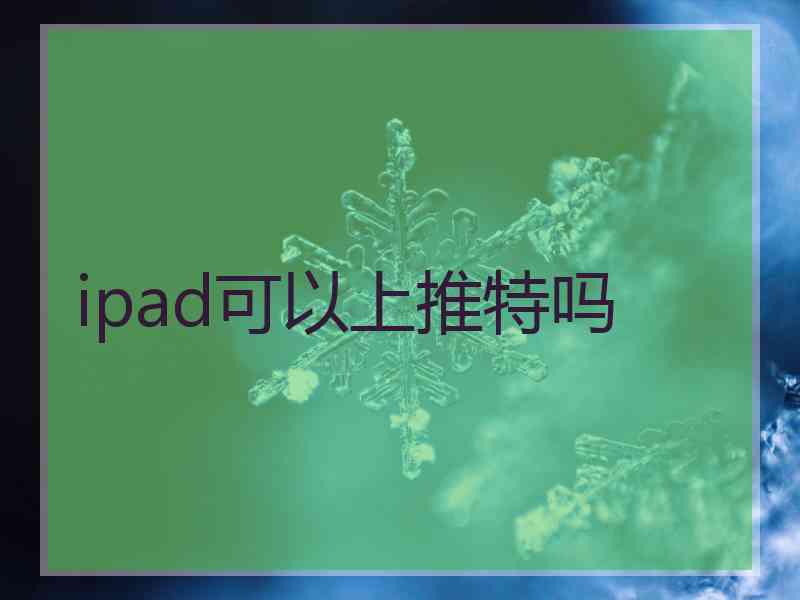 ipad可以上推特吗