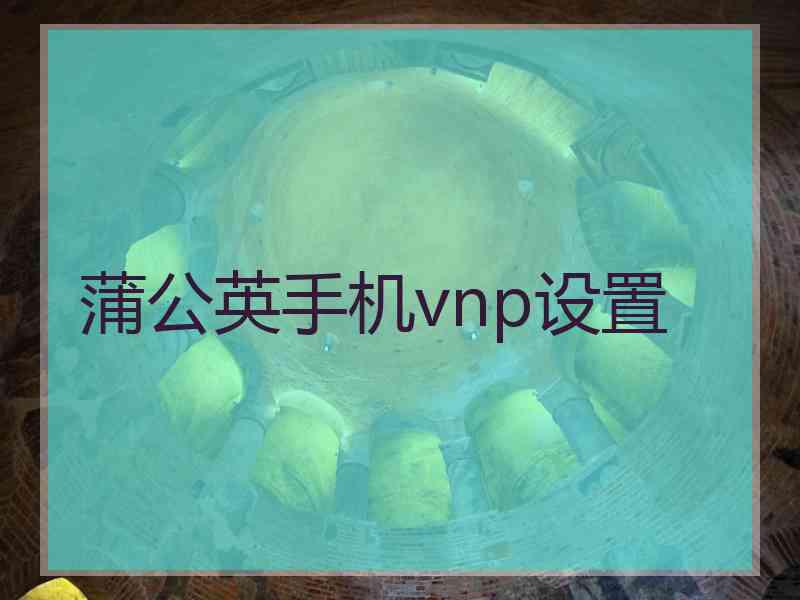 蒲公英手机vnp设置