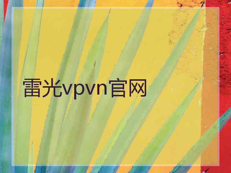 雷光vpvn官网